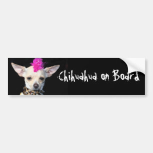 Chihuahua ombord på stötfångare bildekal