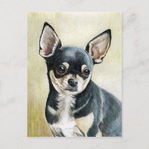 Chihuahua Original Art Postcard Vykort