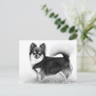 Chihuahua - Original Fine Art Vykort