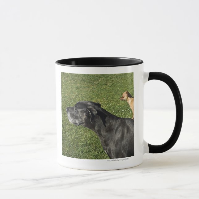 Chihuahua på great dane baksida 2 mugg (Höger)