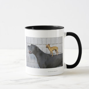 Chihuahua på great dane baksida mugg