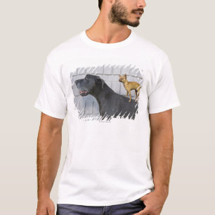 Chihuahua på great dane baksida tee shirt