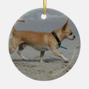 Chihuahua på strand julgransprydnad keramik