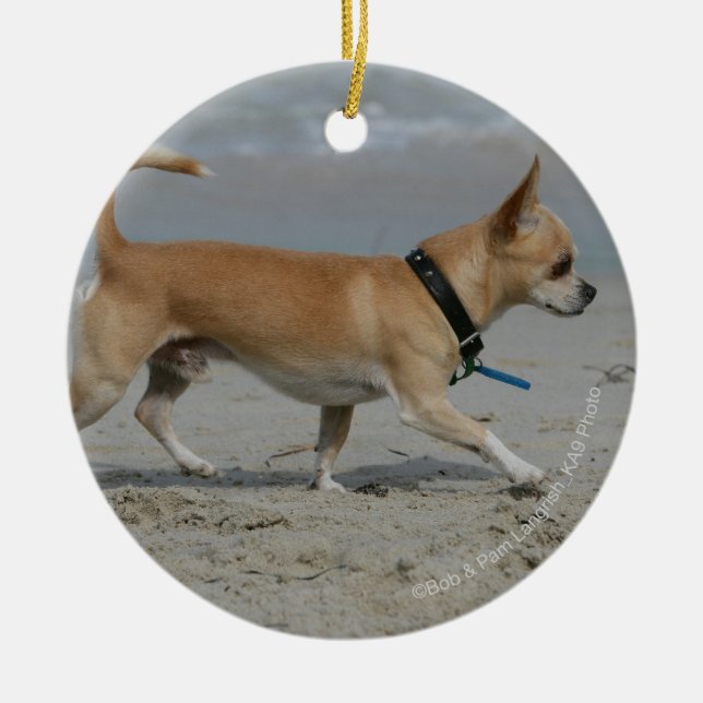 Chihuahua på strand julgransprydnad keramik (Framsidan)