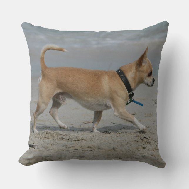 Chihuahua på strand kudde (Framsida)