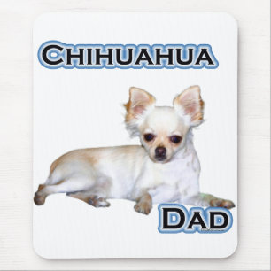 Chihuahua Pappa 4 Musmatta
