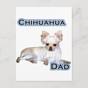 Chihuahua Pappa 4 Vykort