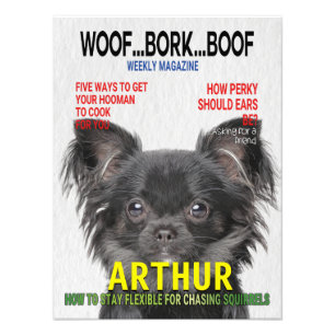 Chihuahua Parody Magazine Cover Fototryck