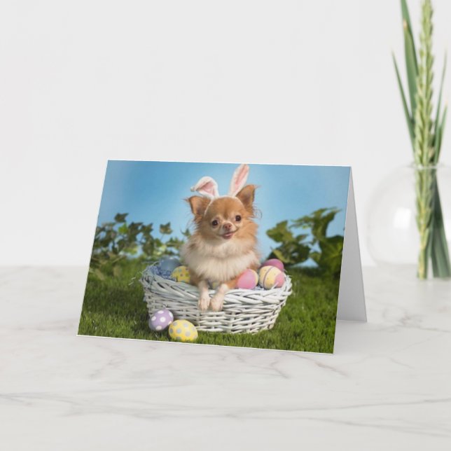 Chihuahua Påskhare Card Helgkort (Framsida)