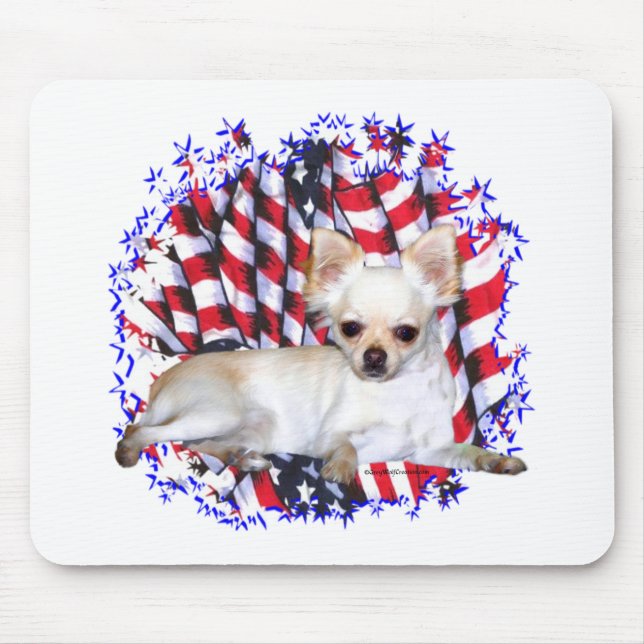 Chihuahua Patriot Musmatta (Framsidan)