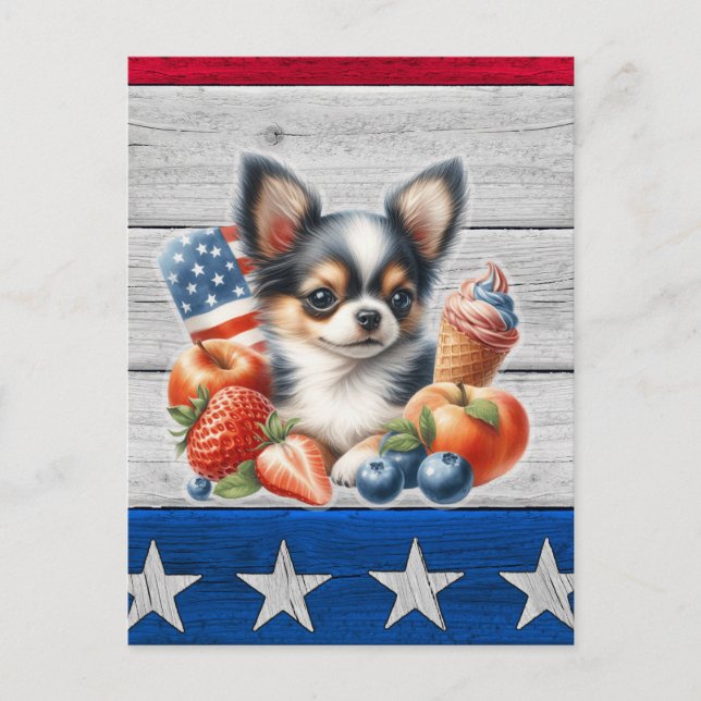Chihuahua Patriotic Fruit USA Long Hair Chihuahua Vykort (Framsida)