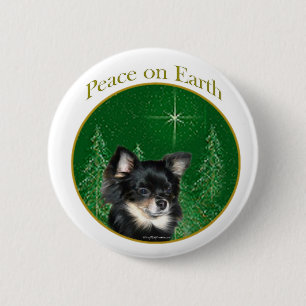 Chihuahua Peace Knapp
