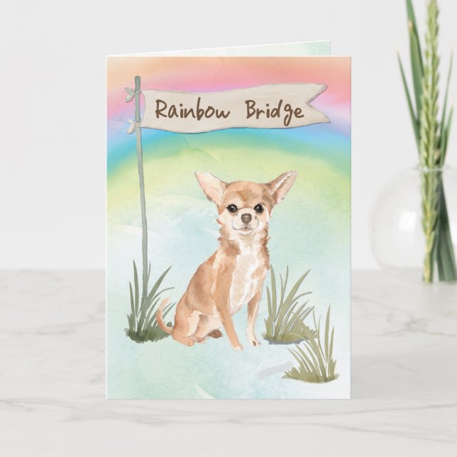 Chihuahua Pet Sympathy over Rainbow Bridge Kort (Framsida)