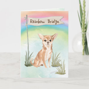 Chihuahua Pet Sympathy over Rainbow Bridge Kort