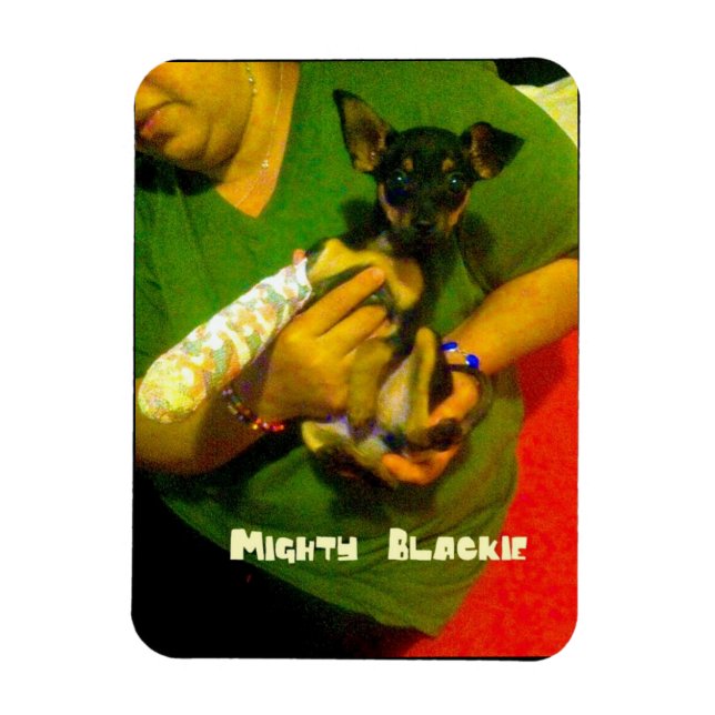 Chihuahua Photo Magnet (Vertikal)