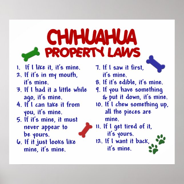 CHIHUAHUA PL2 POSTER (Framsidan)
