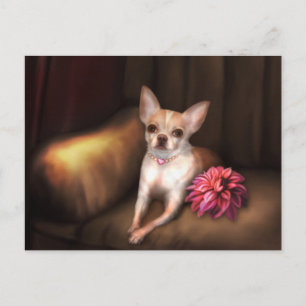 "Chihuahua Porträtt I" Vykort