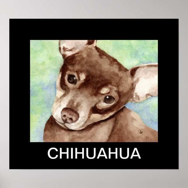 Chihuahua Porträtt Poster (Framsidan)