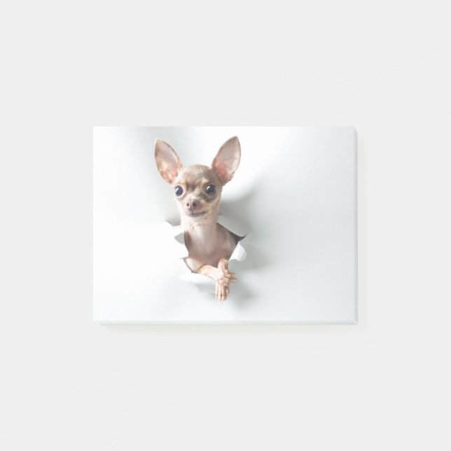 Chihuahua Post-it Block (Framsida)