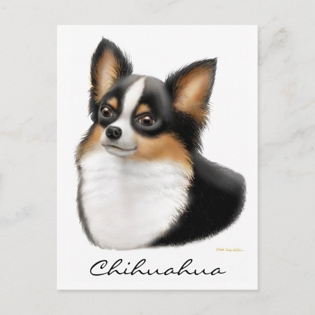 Chihuahua Postcard Vykort (Framsida)