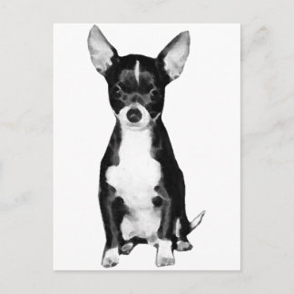 Chihuahua Postcard Vykort
