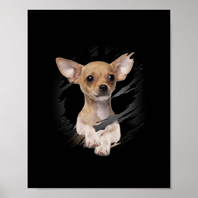 Chihuahua Poster (Framsidan)