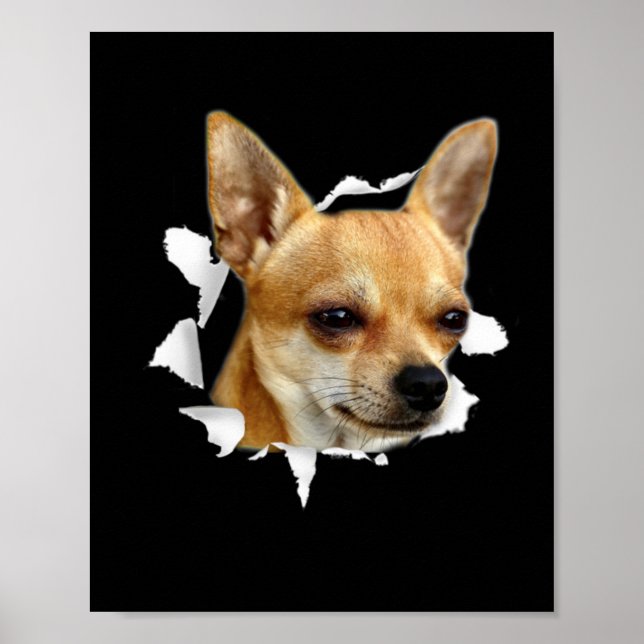 Chihuahua Poster (Framsidan)