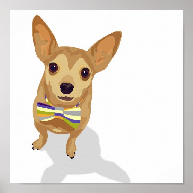 Chihuahua poster i en skål (Framsidan)