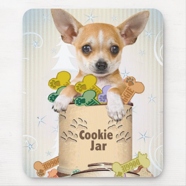 Chihuahua Pposed with Cookie Burk Musmatta (Framsidan)