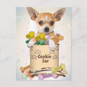 Chihuahua Pposed with Cookie Burk Vykort