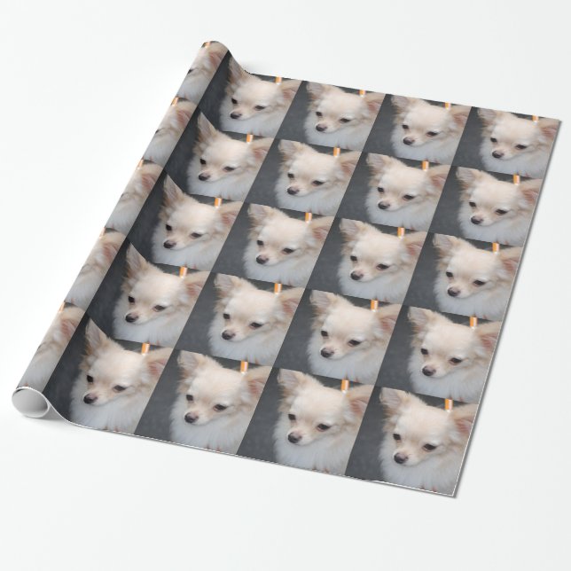 Chihuahua Presentpapper (Utrullad)