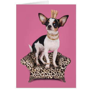 Chihuahua Princess Hälsningskort
