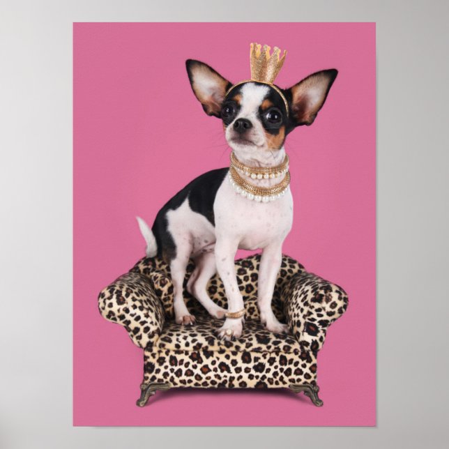 Chihuahua Princess Poster (Framsidan)