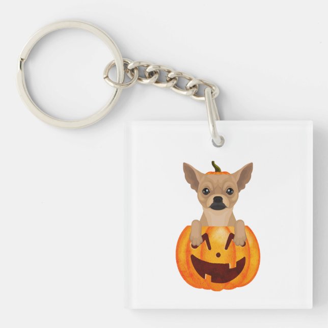 Chihuahua Pumpkin (Framsidan)