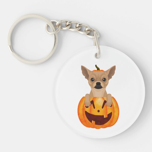 Chihuahua Pumpkin (Framsidan)