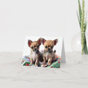 Chihuahua Puppies Jul Kort