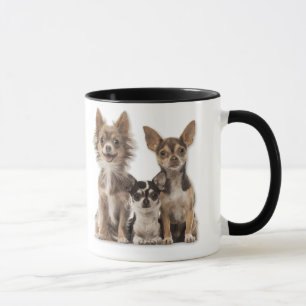 Chihuahua Puppies Mugg