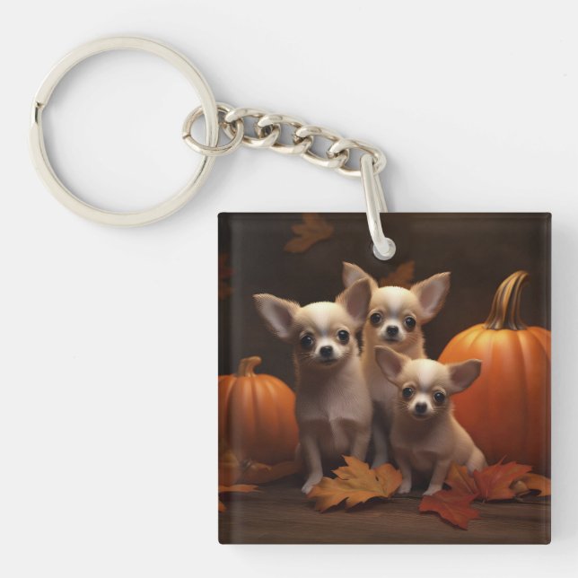 Chihuahua Puppy Autumn Delight Pumpkin (Framsidan)