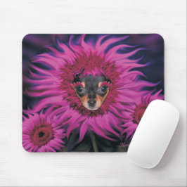 Chihuahua Puppy Flower Blommar Mouse Pad Musmatta