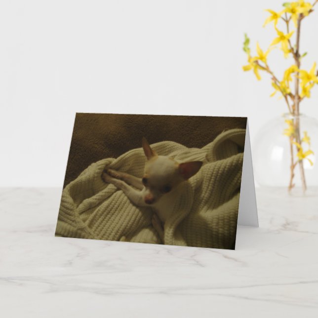Chihuahua Puppy Greeting Card Kort (Gul blomma)