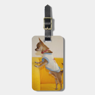 Chihuahua Puppy Gult Soffa Bagagebricka