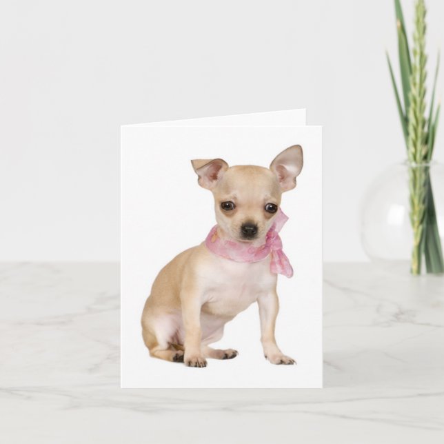 Chihuahua Puppy Hund Blank Note eller gratulations Kort (Framsida)