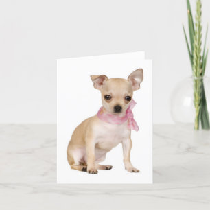 Chihuahua Puppy Hund Blank Note eller gratulations Kort