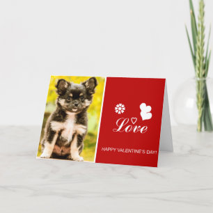 Chihuahua Puppy Hund Glad Alla hjärtans dagskort Helgkort