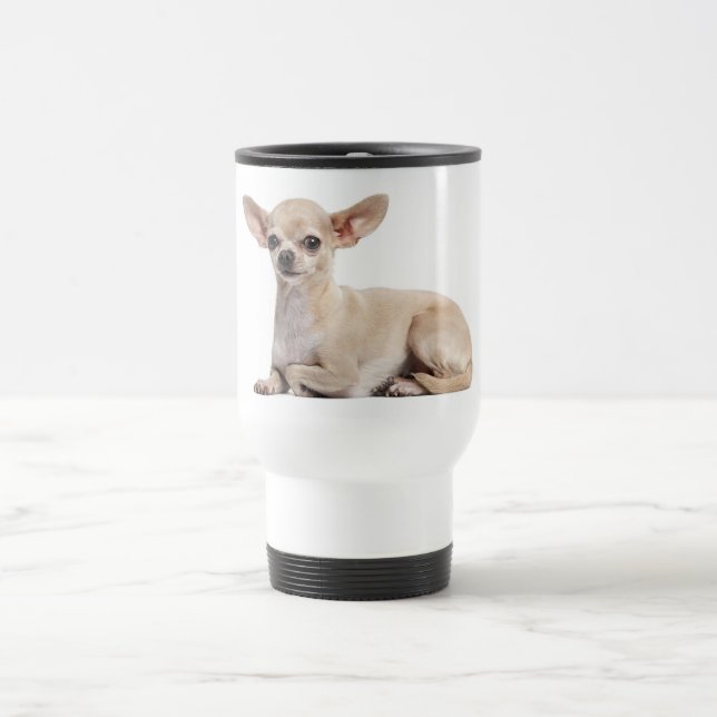Chihuahua Puppy Hund Resemugg (Center)
