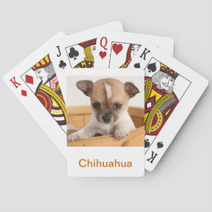 Chihuahua Puppy Hund Spelkort