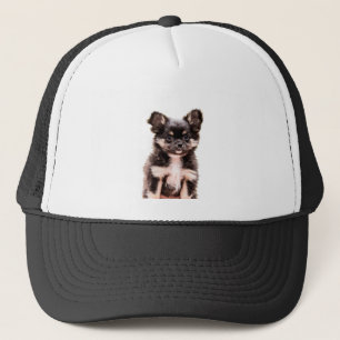 Chihuahua Puppy Hund Truckerkeps