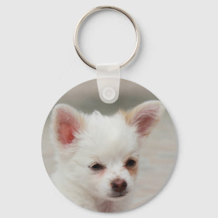 Chihuahua puppy i en trädgård nyckelring