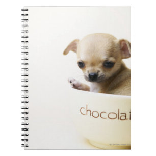 Chihuahua puppy in bowl (beskuren) anteckningsbok med spiral