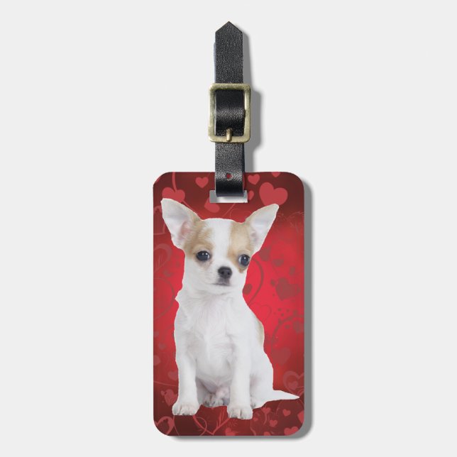 Chihuahua puppy in red bagagebricka (Vertikal Framsida)